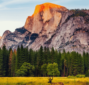 Roadtrip California | 01 - 08 Agosto 2026