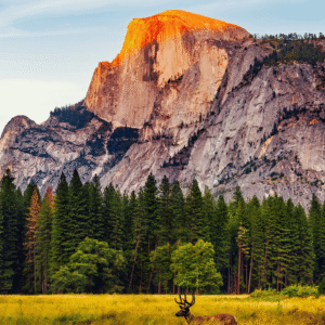 Roadtrip California | 01 - 08 Agosto 2026