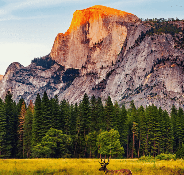 Roadtrip California | 01 - 08 Agosto 2026