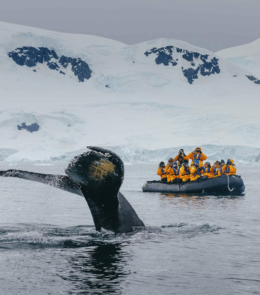 Expedición Península Antártica