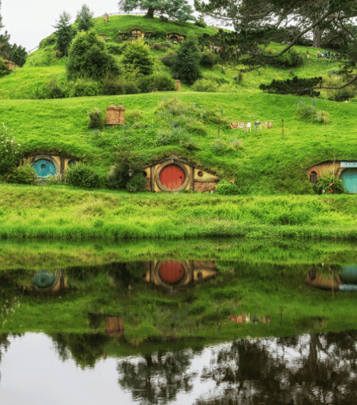 Hobbiton + Waitomo Caves