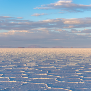 Bolivia + Chile | 04-11 Enero 2027